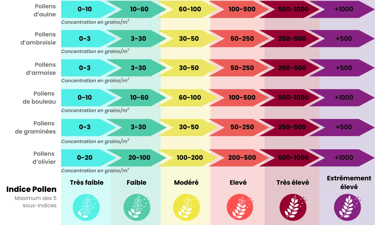 Description des gammes de concentrations des taxons pris en compte dans l'indice Pollen