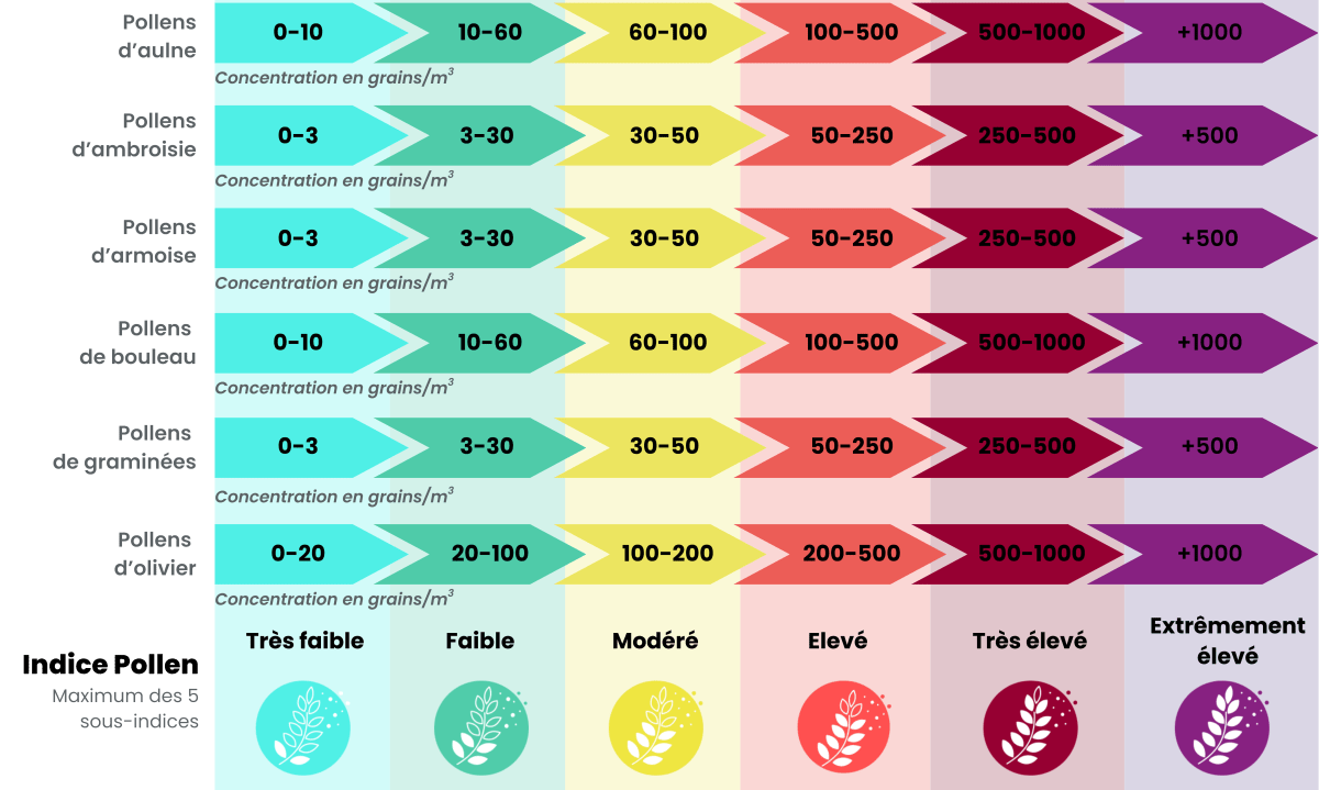 Description des gammes de concentrations des taxons pris en compte dans l'indice Pollen